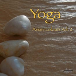 445 Yoga AC Vol 2 DL photo